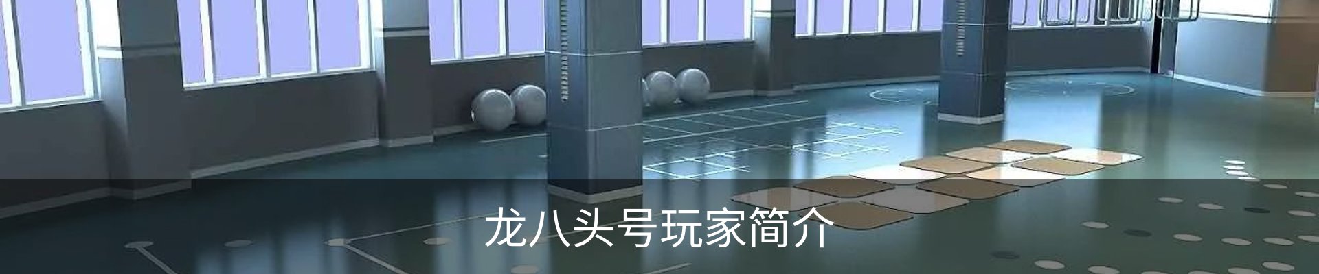 龙八头号玩家简介